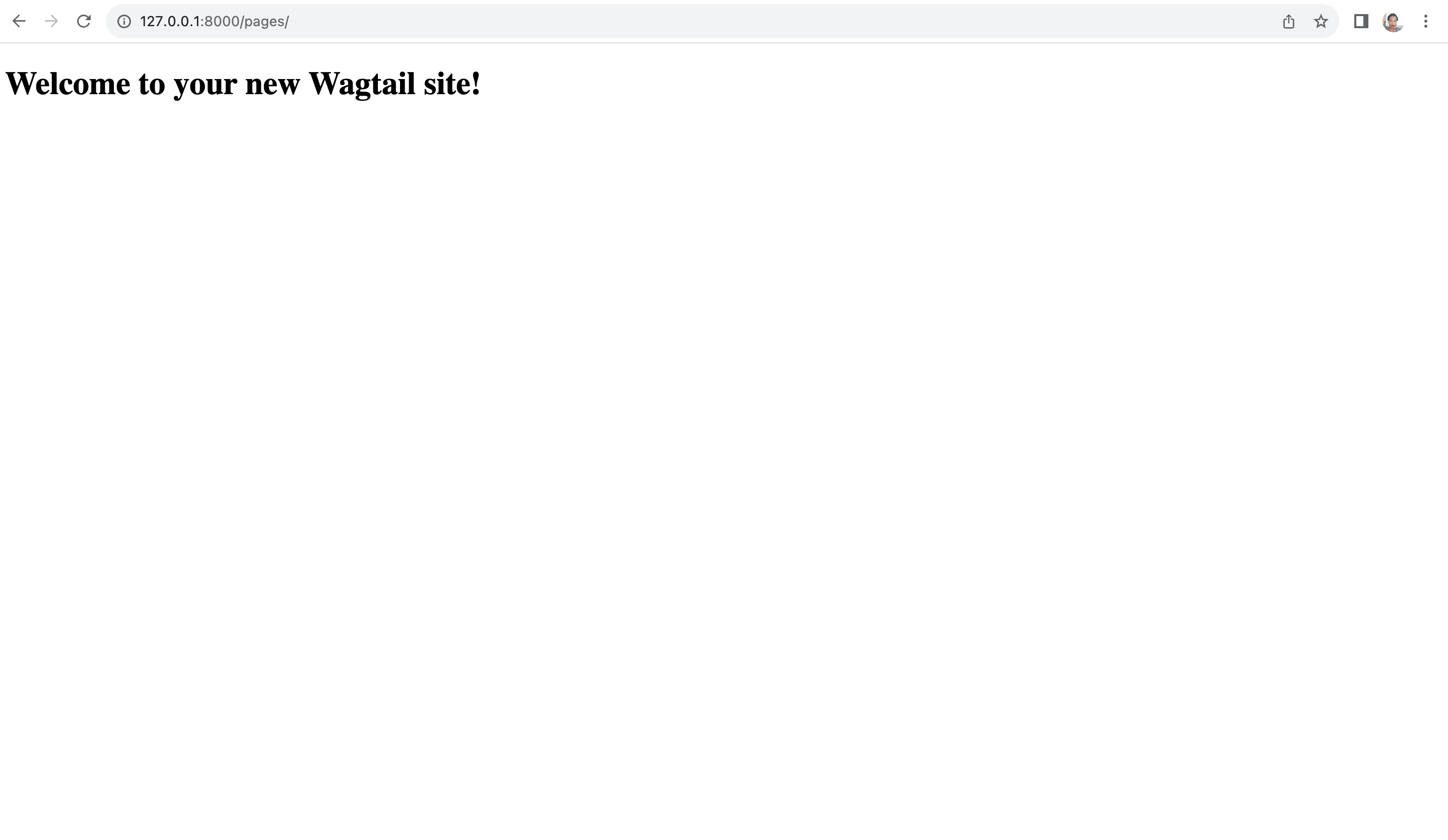 Wagtail homepage