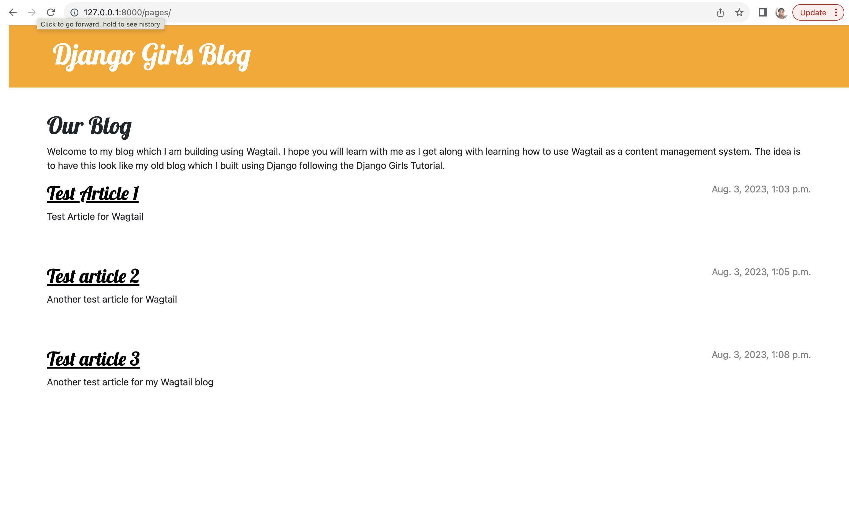 Wagtail Blog Homepage